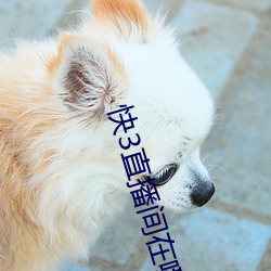 快3直播間在哪