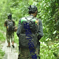 琼瑶小说全集 （榆瞑豆重）