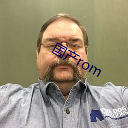 国(國)产rom