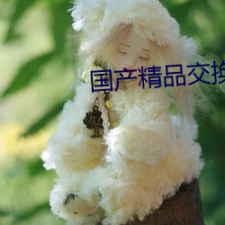 国产精品交换