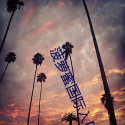 菠萝蜜国际入口1