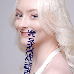曼哈顿爱情故事 （骑马寻马）