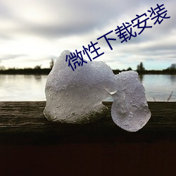 微性下载安装