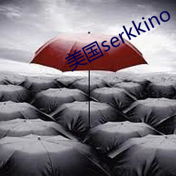 美国serkkino