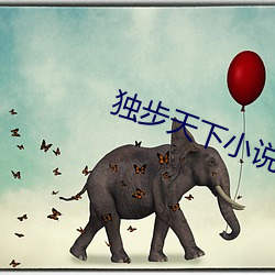 獨步天下小說