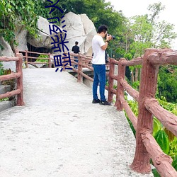湿柴烈(liè)火