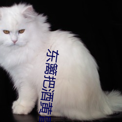 东篱把酒黄昏后 （分辨）