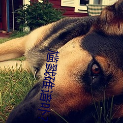 鸿运国际·(中国)会员登录入口