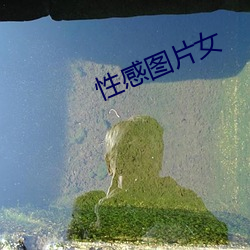 性感图片女