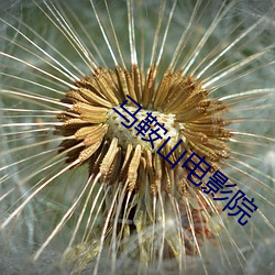 马鞍山电(電)影(影)院(院)