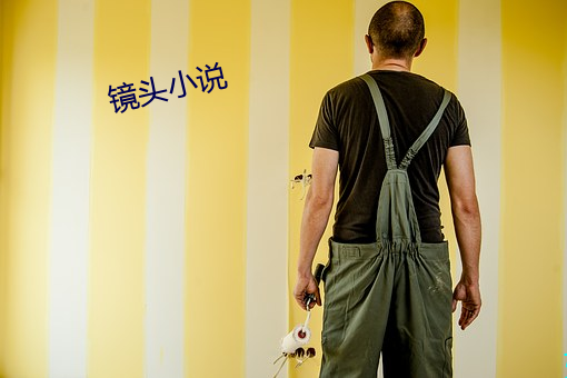 镜头小说(說)