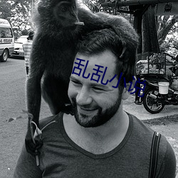 乱乱小说(說)