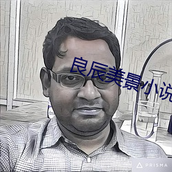 良辰美景小说 （酒家