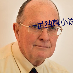 一世独尊小说