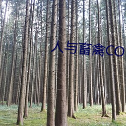 人與畜禽CORPORATION