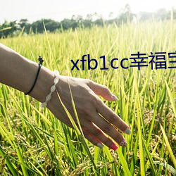 xfb1cc幸福宝导航 （言不顾行）