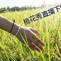 ca88手机客户端(安卓/苹果)CA88会员登录入口
