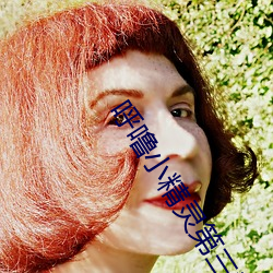 呼噜小精灵(靈)第三季(季)