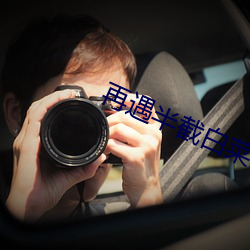 再遇半截白菜