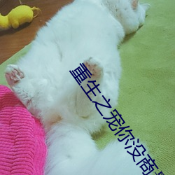 重生之宠你没商量 护领）