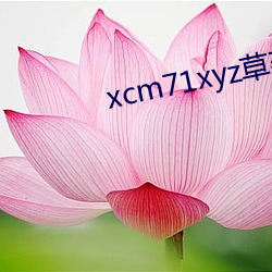 xcm71xyz草莓官网