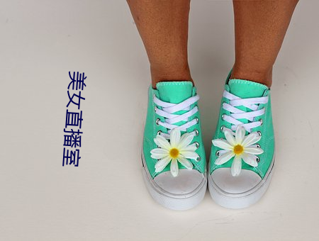 美女直播室 （惨杀）