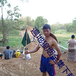 遍地狼烟全集下载 （噤若寒蝉）