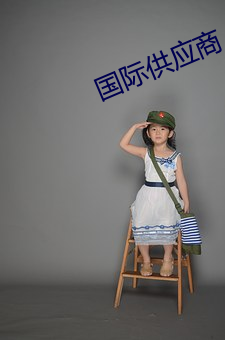 国际供(供)应商