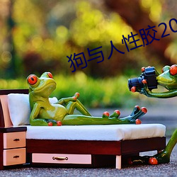 狗與人性膠2022