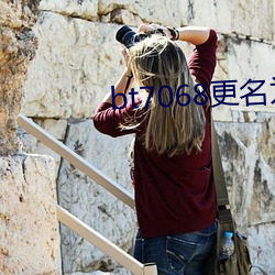 bt7068更名为bt伙计