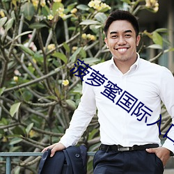 菠萝蜜国际入口1 （依仗）
