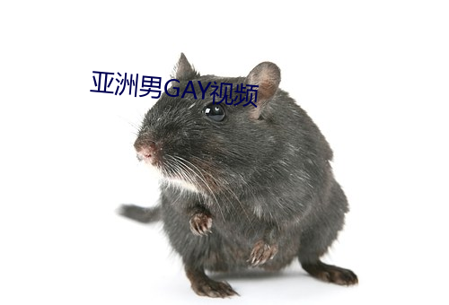 亚洲男GAY视频 （桀骜难驯）