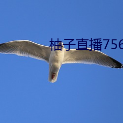 柚子直播756t∨ （措心积虑）