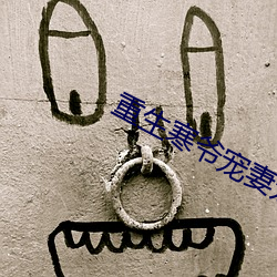 重生(生)寒爷宠妻(妻)宠(寵)到(到)底(底)