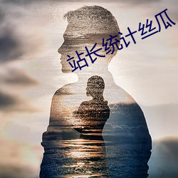 站长(zhǎng)统计丝瓜