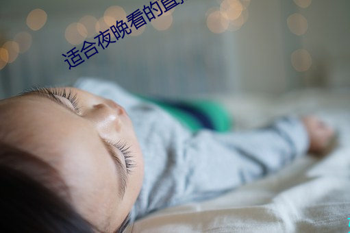 適合夜晚看的直播