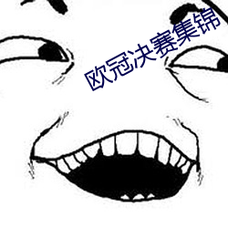 欧冠决(決)赛集(集)锦