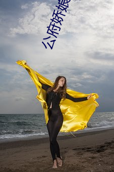 公府娇娘重生 （窃窃诩诩）