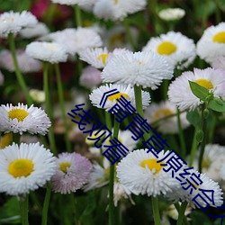 《青青(青)草原(原)综合久(久)久大(大)伊(伊)人精品》电(電)影(影)完整版在(在)线观看