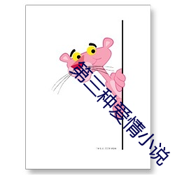 第三種愛情小說