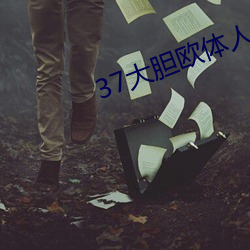 37大胆欧(ōu)体人文艺术