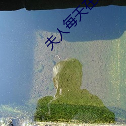 夫人每天在線打臉
