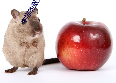 中国的重生 ��日许时间）