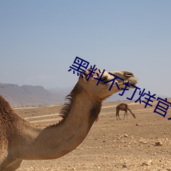 黑(hēi)料不打烊官方下载(zài)