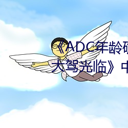 《ADC年龄(齡)确(確)认(認)十八(八)岁欢迎(迎)您(您)的大驾(駕)光临(臨)》中(中)文版免费(費)在线播(播)