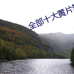 全(quán)部(bù)十(shí)大黄片软件