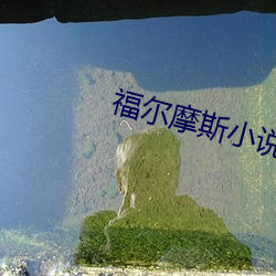 福尔摩斯(斯)小说