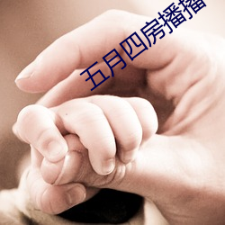 五月四房播播