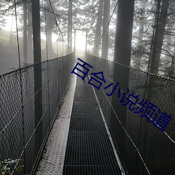 百(百)合(合)小说频(頻)道(道)