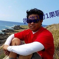 微信1對1果聊